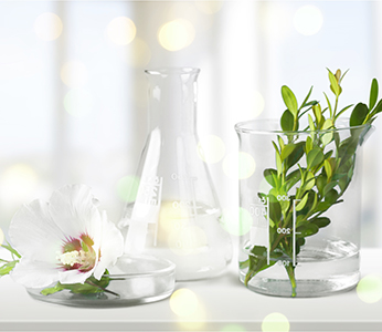 glass beakers with aromas